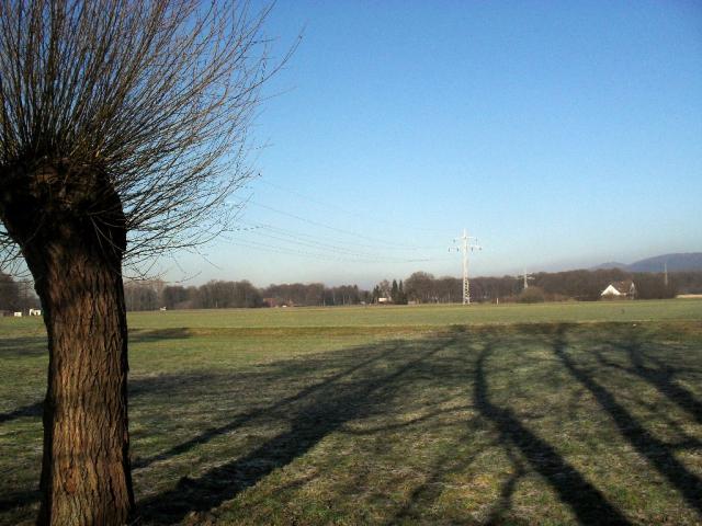 2011/01/post-16228-1296305508_thumb.jpg