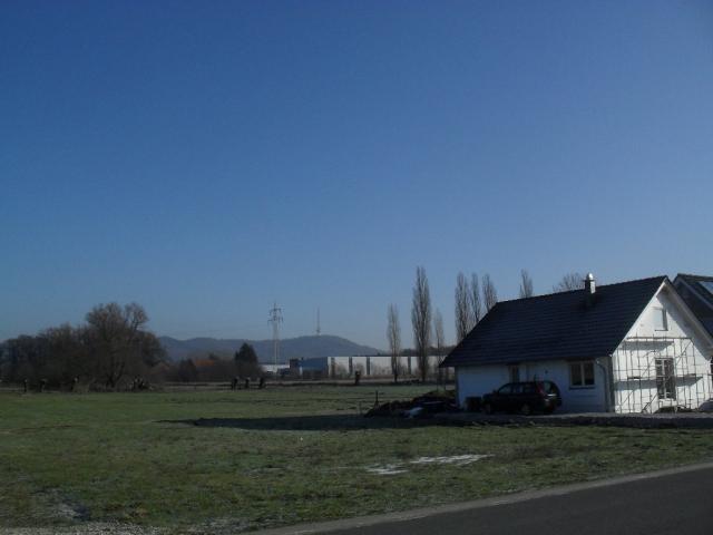 2011/01/post-16228-1296305582_thumb.jpg