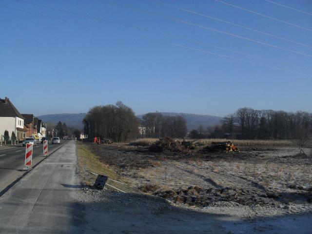 2011/01/post-16228-1296305818_thumb.jpg