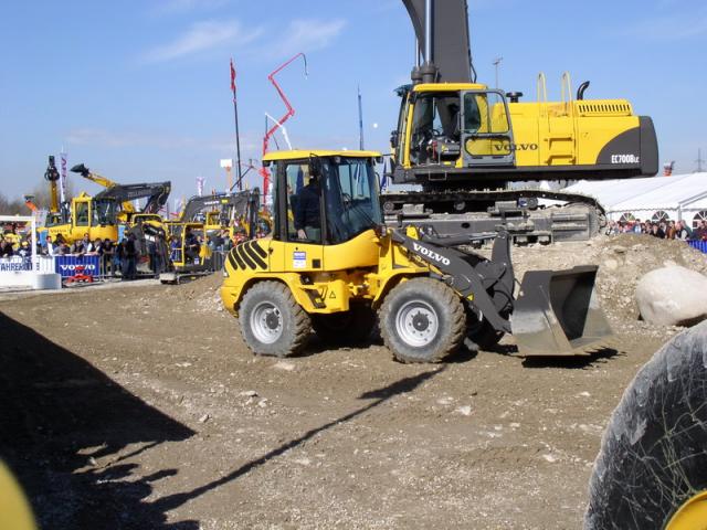 P1010008_Bildgr__e__ndern.JPG