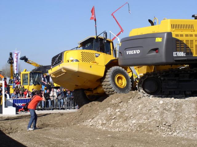 P1010019_Bildgr__e__ndern.JPG