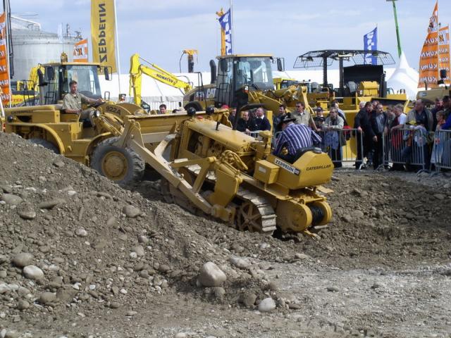 P1010143_Bildgr__e__ndern.JPG