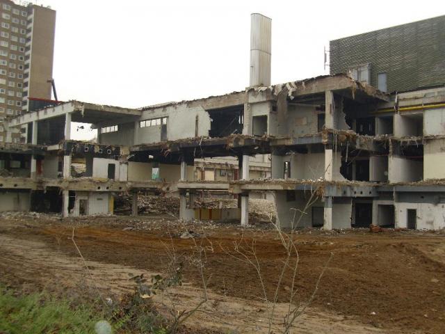 DSCI0849.JPG