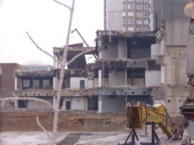 DSCI0855.JPG