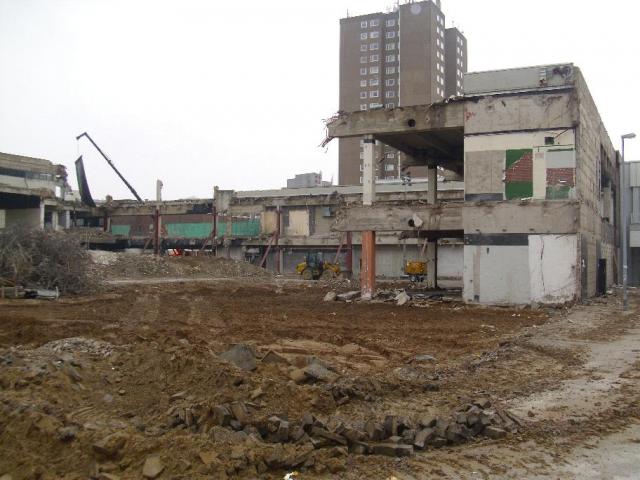 DSCI0865.JPG