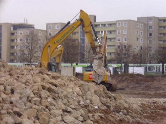 DSCI0872.JPG
