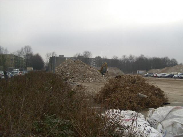 DSCI0900.JPG