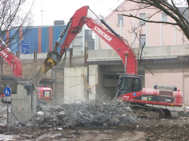 31_01_2011_0005.jpg