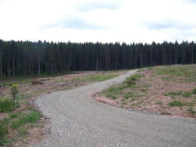 100_3084.jpg
