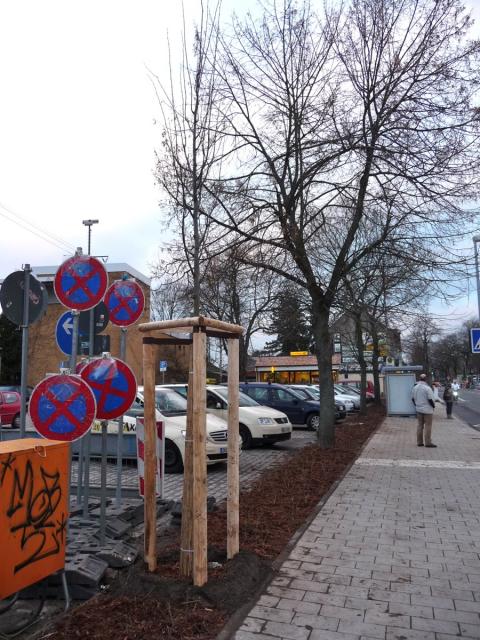 P1150208.jpg
