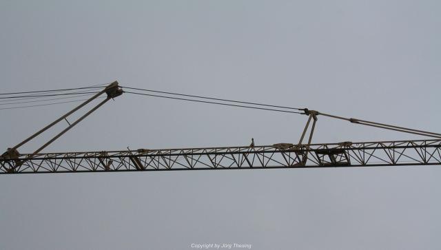 _Potain_356_A_19._Januar_2011__10_.jpg
