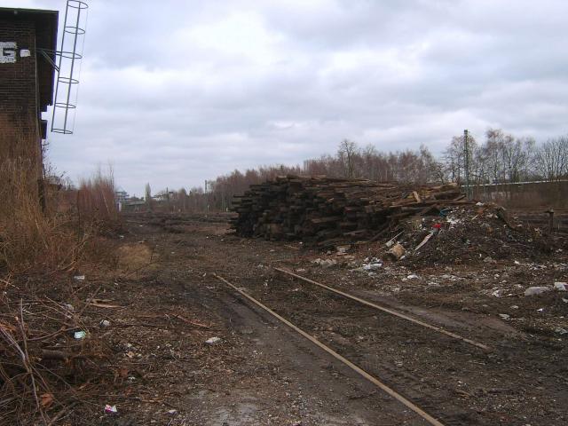 SA505049__Kopie_.JPG