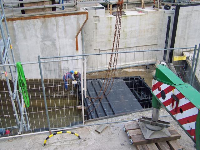 100_9576.jpg