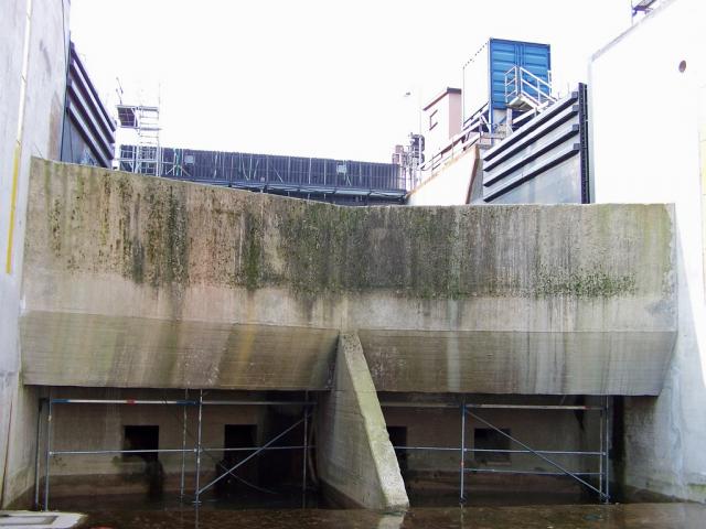 100_9732.jpg