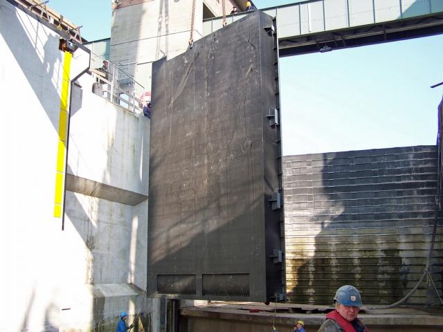 100_9766.jpg