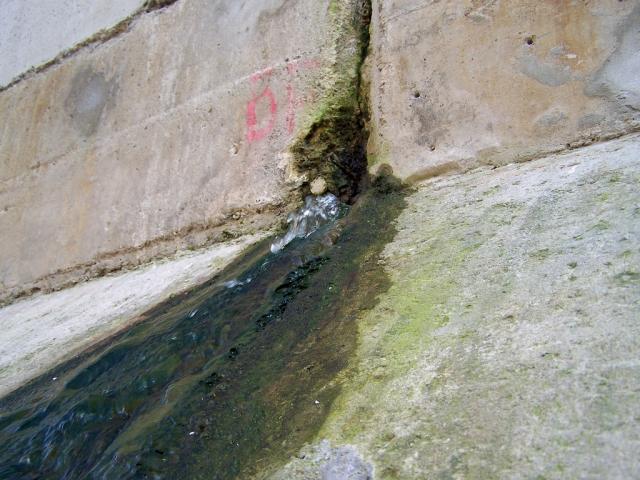 100_9802.jpg