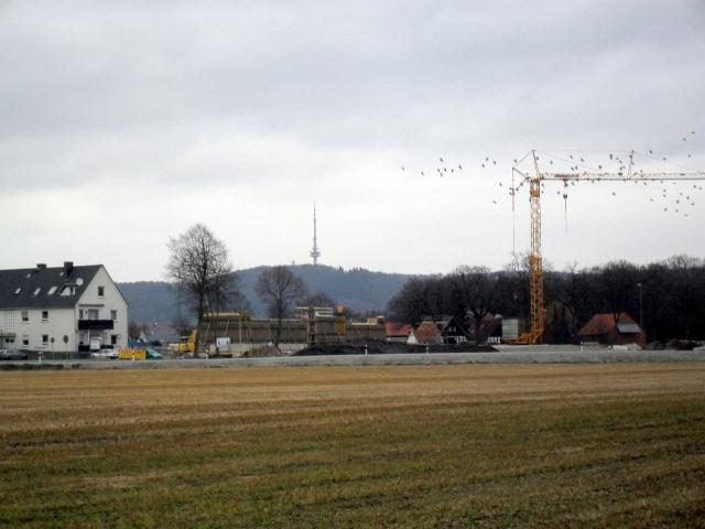 2011/02/post-16228-1297003699_thumb.jpg