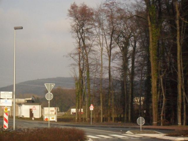 2011/02/post-16228-1297612994_thumb.jpg