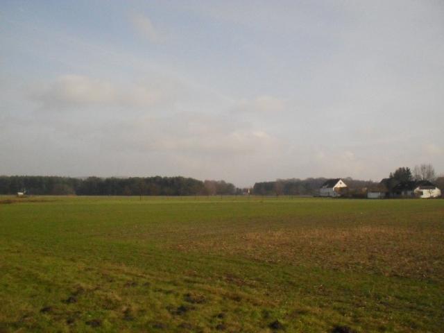 2011/02/post-16228-1297613051_thumb.jpg