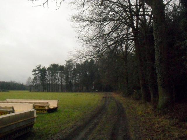 2011/02/post-16228-1298809572_thumb.jpg