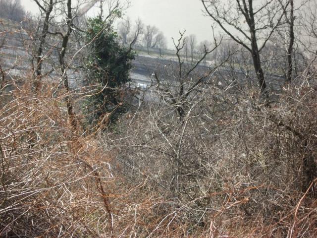 2011/02/post-17369-1298931306_thumb.jpg