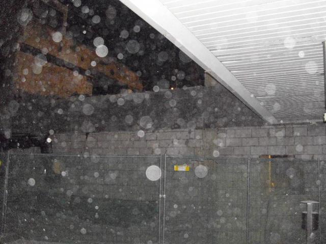 DSCI0955.JPG