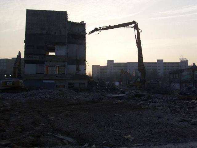 DSCI1036.JPG