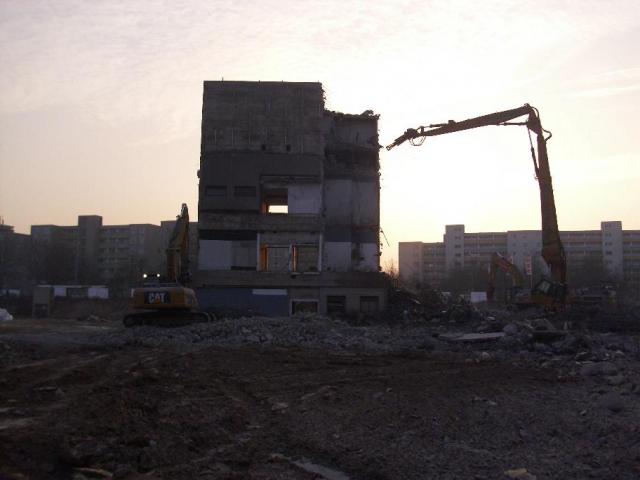 DSCI1038.JPG