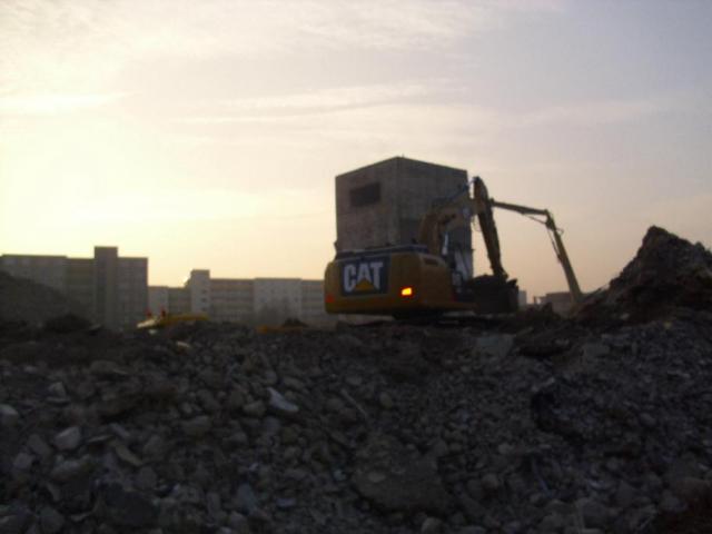 DSCI1045.JPG