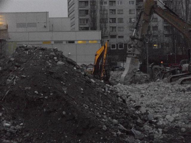 DSCI1131.JPG