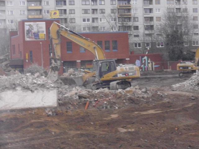 DSCI1186.JPG