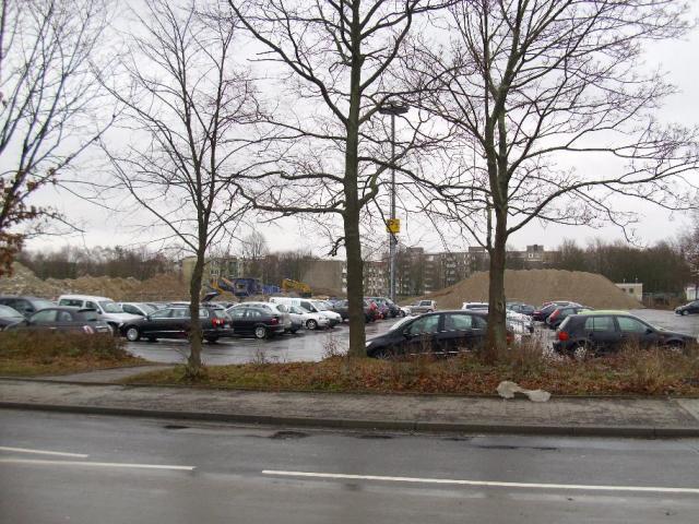 DSCI1193.JPG