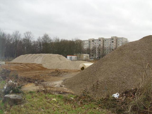 DSCI1228.JPG