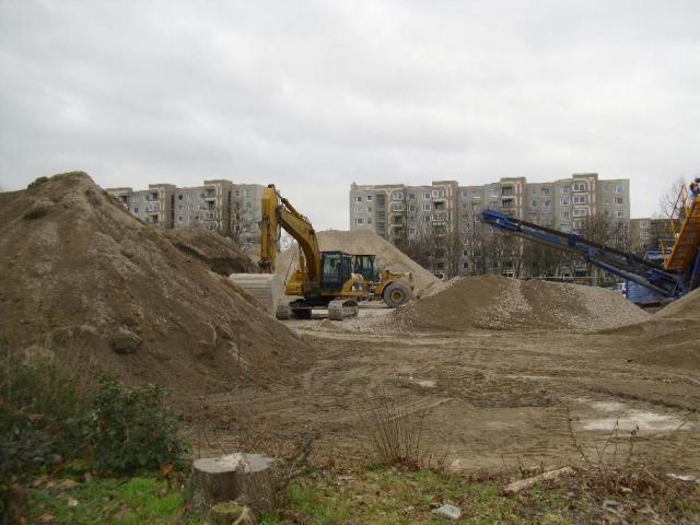 DSCI1229.JPG