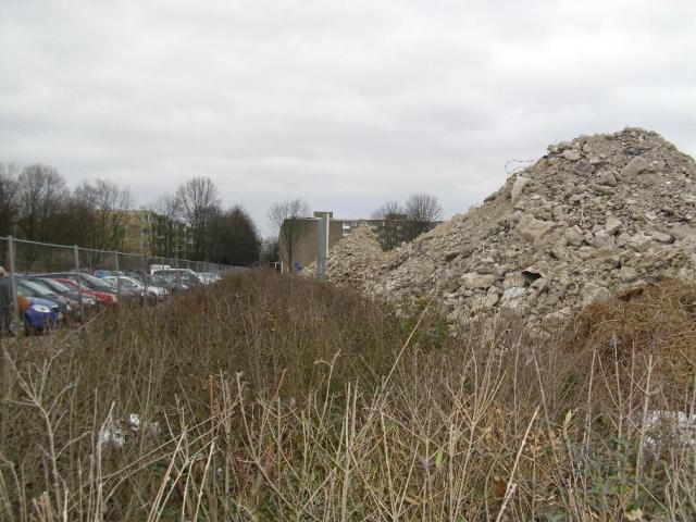 DSCI1233.JPG