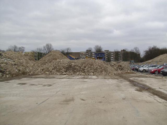 DSCI1235.JPG