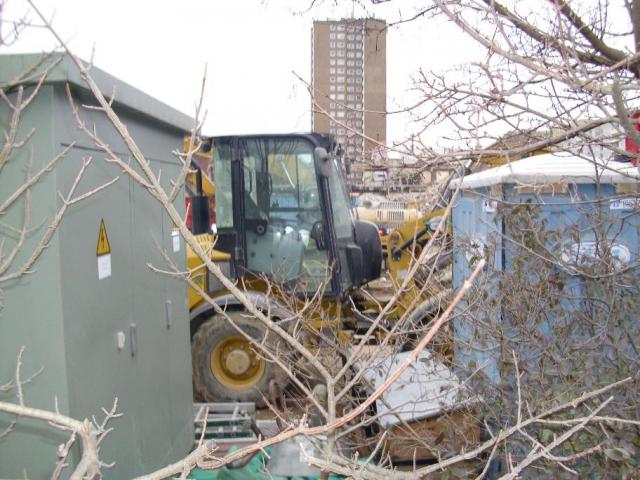 DSCI1243.JPG