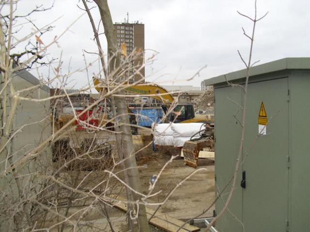 DSCI1244.JPG