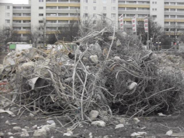 DSCI1253.JPG
