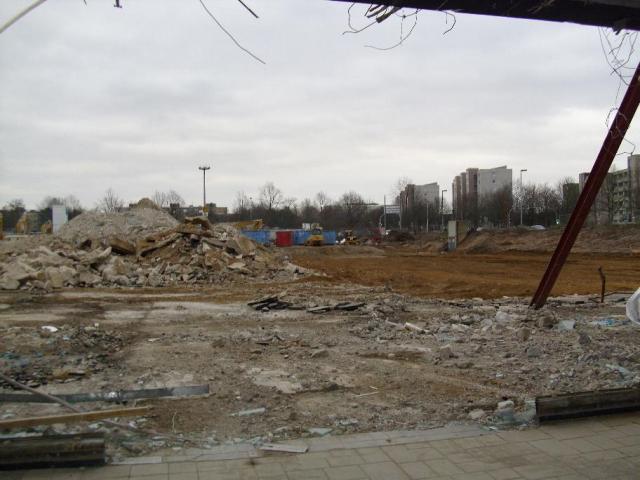 DSCI1256.JPG