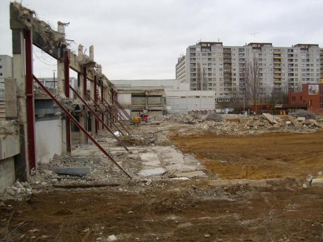 DSCI1259.JPG