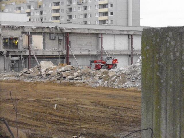 DSCI1266.JPG