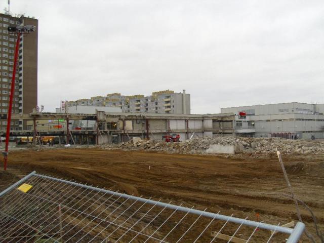 DSCI1269.JPG