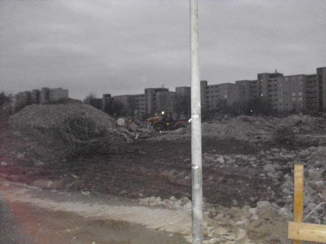 DSCI1286.JPG