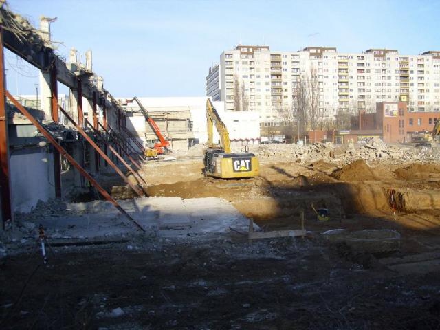 DSCI1311.JPG