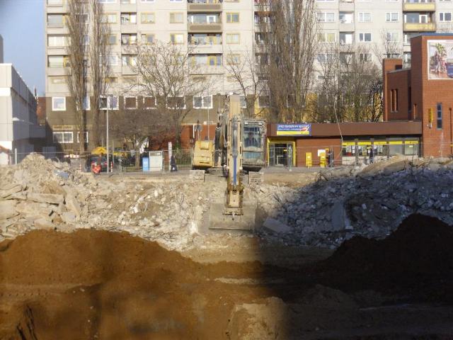 DSCI1317.JPG