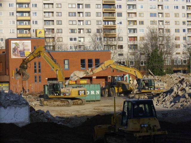 DSCI1321.JPG