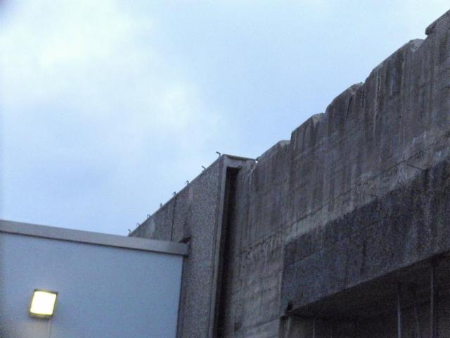 DSCI1379.JPG