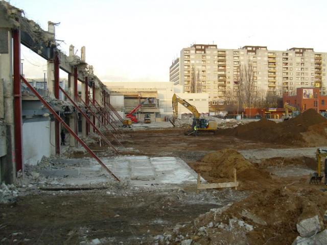 DSCI1395.JPG