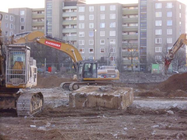 DSCI1415.JPG
